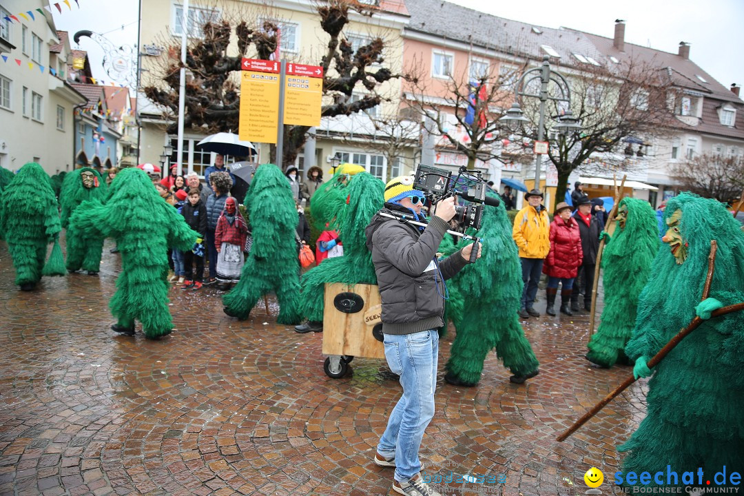 Fasnetsumzug - Fasching: Langenargen am Bodensee, 10.01.2016