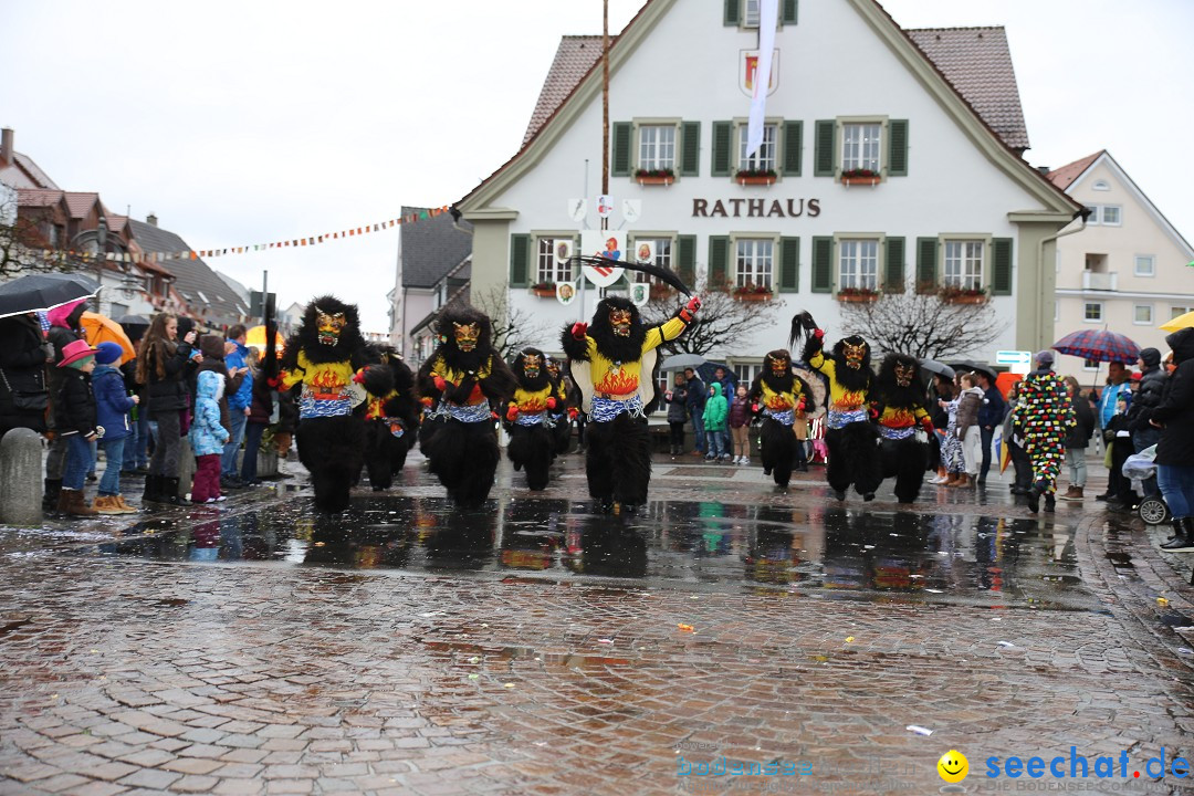 Fasnetsumzug - Fasching: Langenargen am Bodensee, 10.01.2016