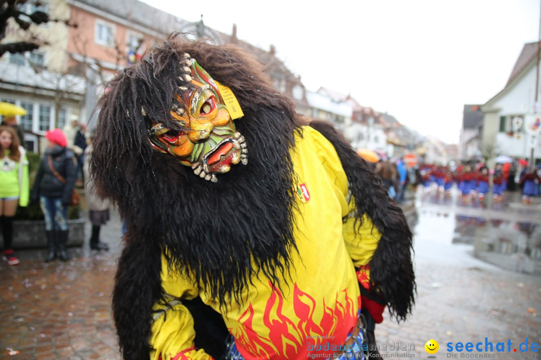 Fasnetsumzug - Fasching: Langenargen am Bodensee, 10.01.2016