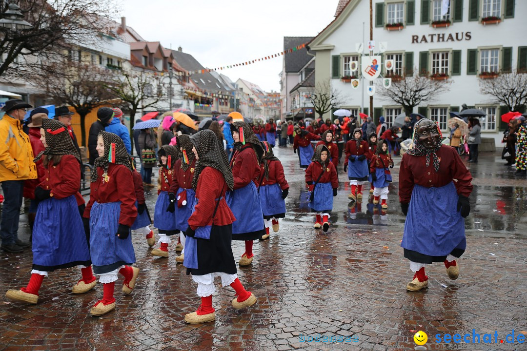 Fasnetsumzug - Fasching: Langenargen am Bodensee, 10.01.2016