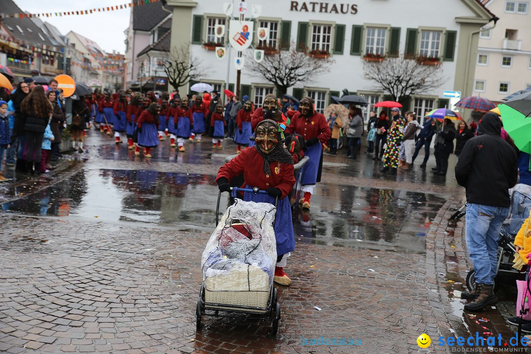 Fasnetsumzug - Fasching: Langenargen am Bodensee, 10.01.2016