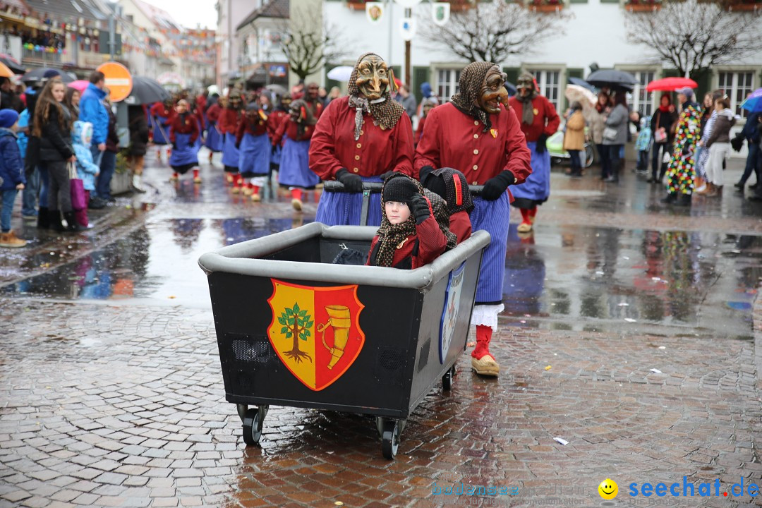 Fasnetsumzug - Fasching: Langenargen am Bodensee, 10.01.2016