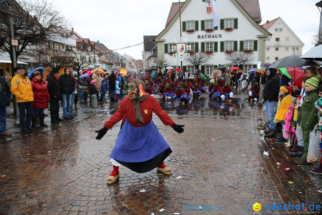 Fasnetsumzug - Fasching: Langenargen am Bodensee, 10.01.2016