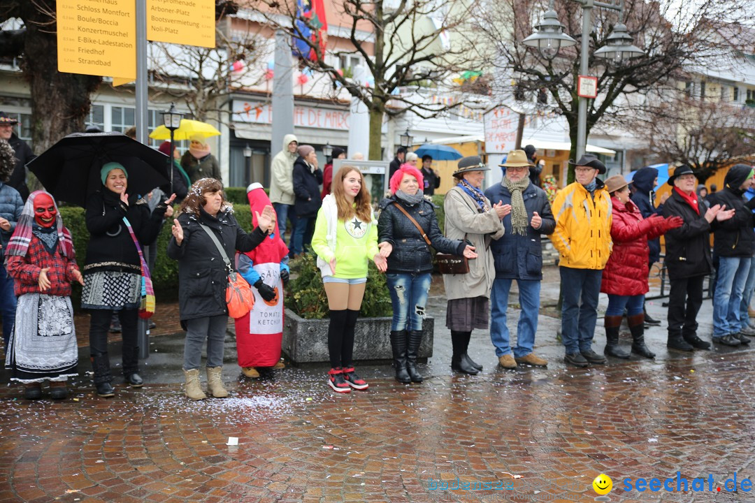 Fasnetsumzug - Fasching: Langenargen am Bodensee, 10.01.2016