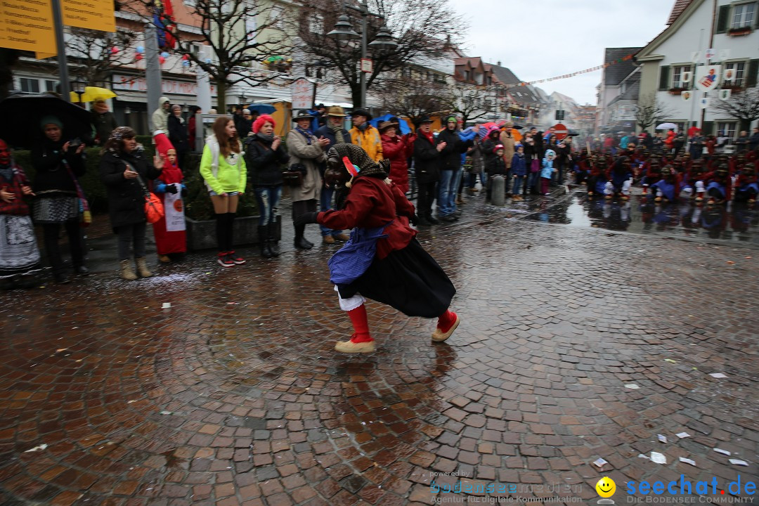 Fasnetsumzug - Fasching: Langenargen am Bodensee, 10.01.2016