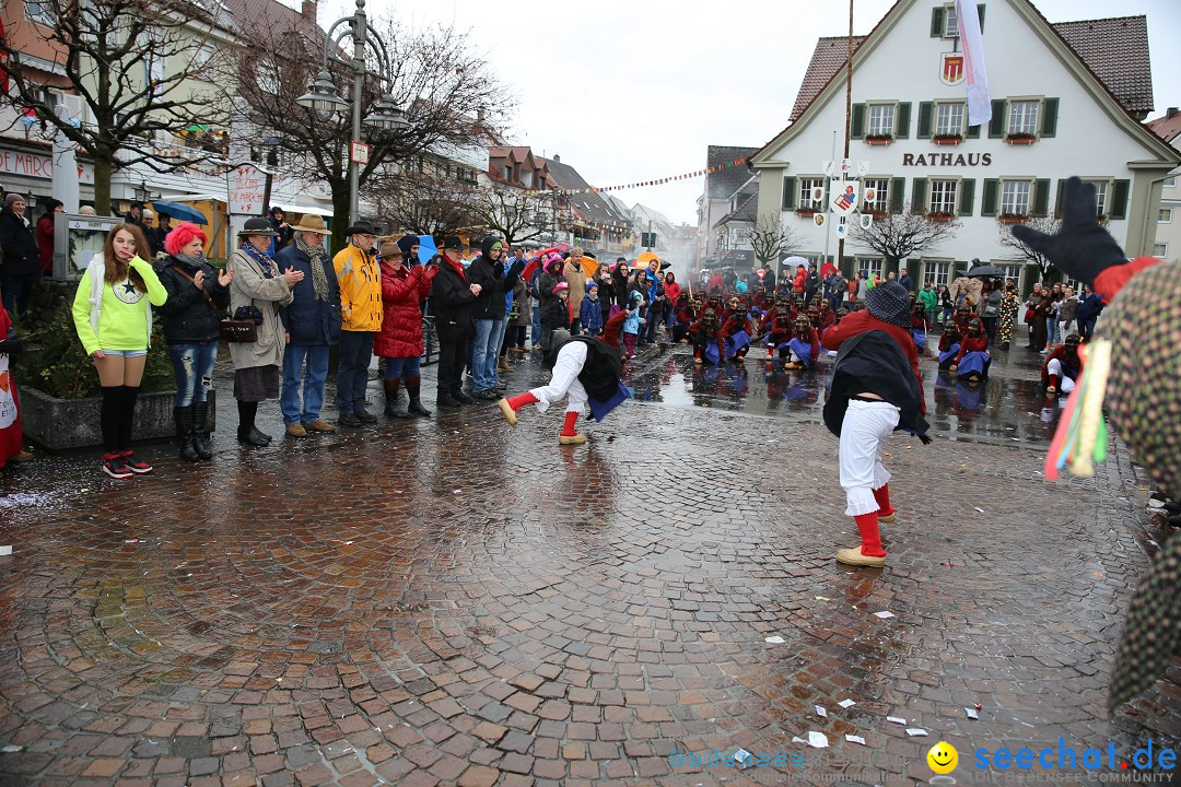 Fasnetsumzug - Fasching: Langenargen am Bodensee, 10.01.2016