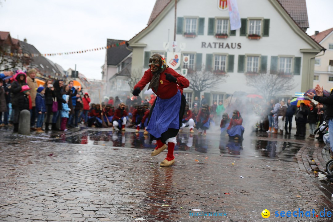 Fasnetsumzug - Fasching: Langenargen am Bodensee, 10.01.2016