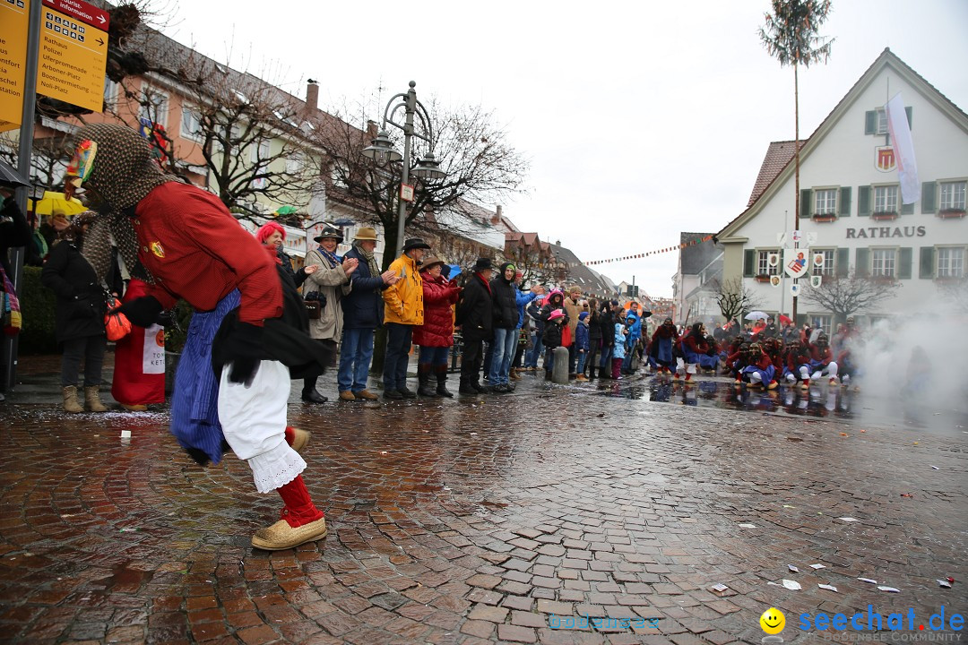 Fasnetsumzug - Fasching: Langenargen am Bodensee, 10.01.2016