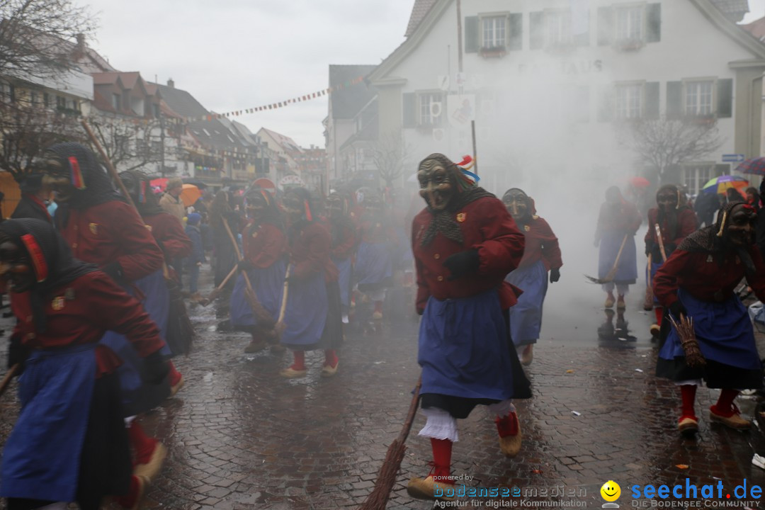 Fasnetsumzug - Fasching: Langenargen am Bodensee, 10.01.2016