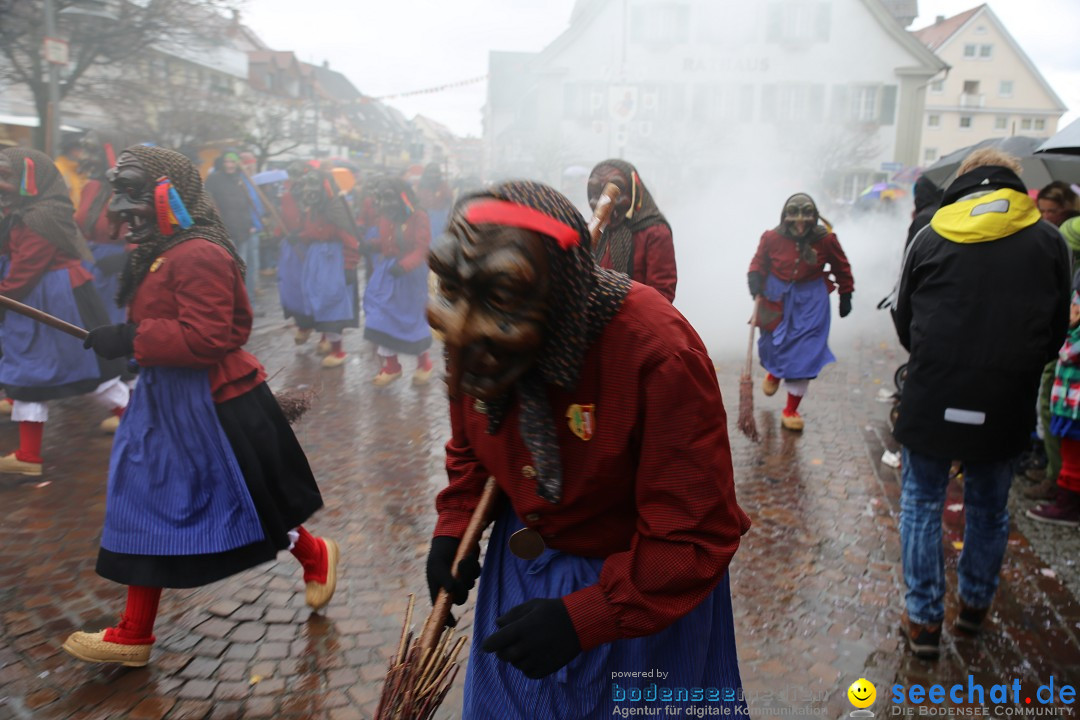 Fasnetsumzug - Fasching: Langenargen am Bodensee, 10.01.2016