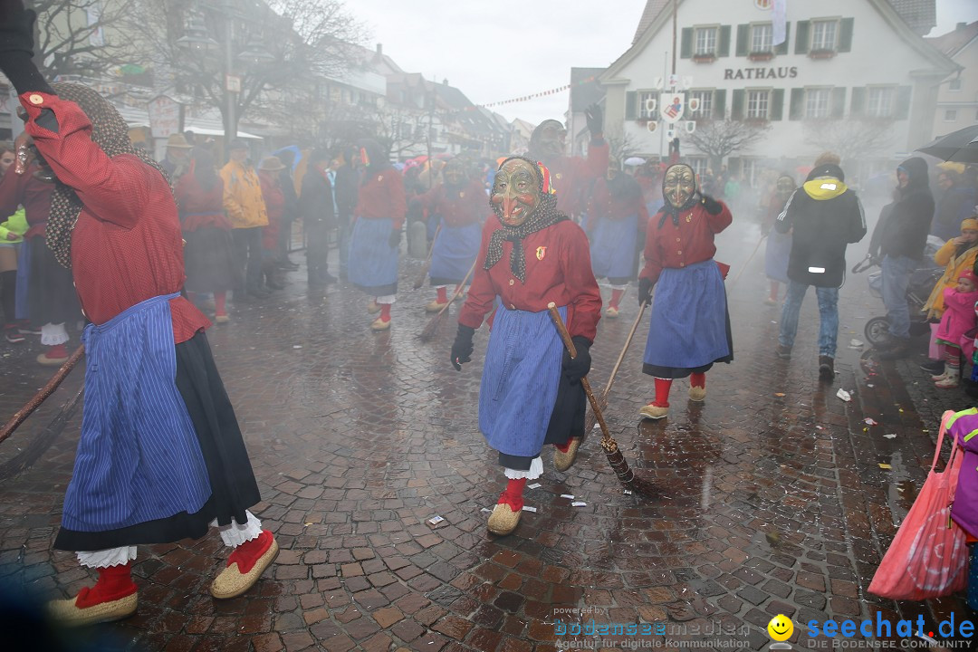 Fasnetsumzug - Fasching: Langenargen am Bodensee, 10.01.2016