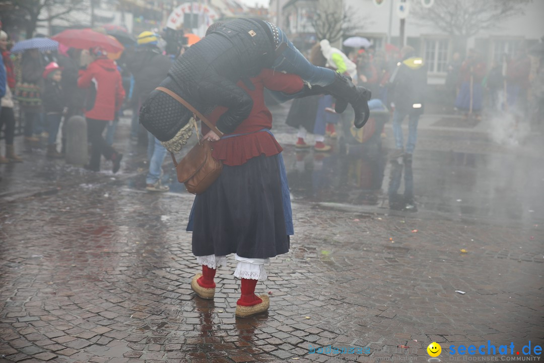 Fasnetsumzug - Fasching: Langenargen am Bodensee, 10.01.2016