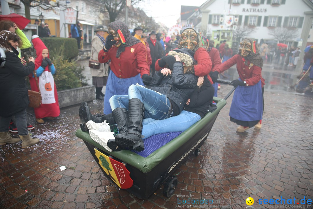 Fasnetsumzug - Fasching: Langenargen am Bodensee, 10.01.2016