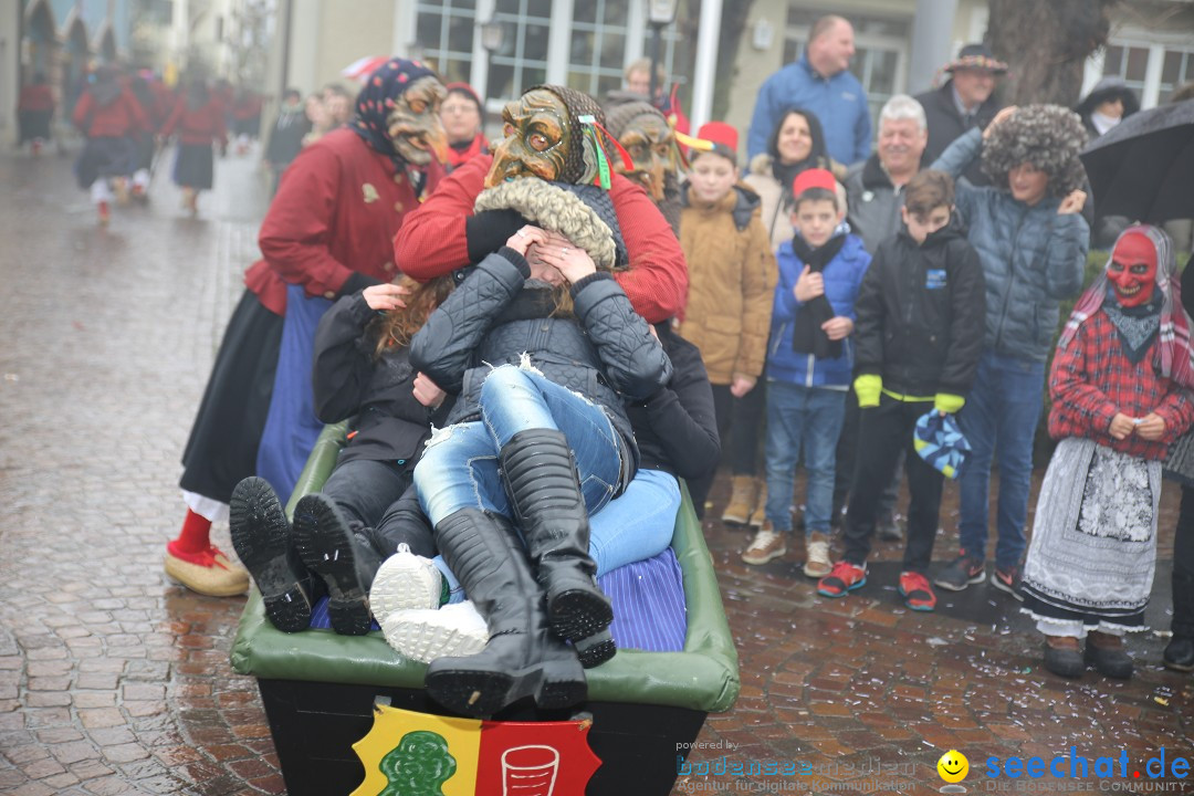 Fasnetsumzug - Fasching: Langenargen am Bodensee, 10.01.2016