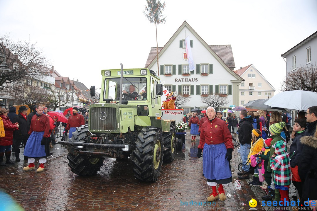 Fasnetsumzug - Fasching: Langenargen am Bodensee, 10.01.2016