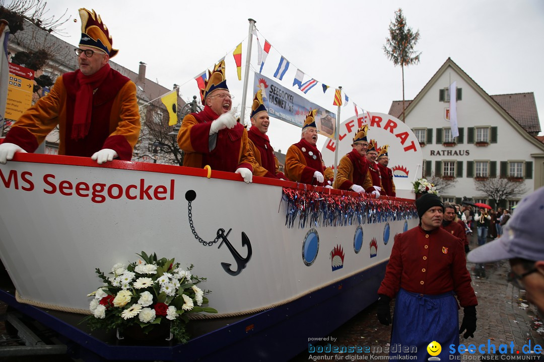 Fasnetsumzug - Fasching: Langenargen am Bodensee, 10.01.2016