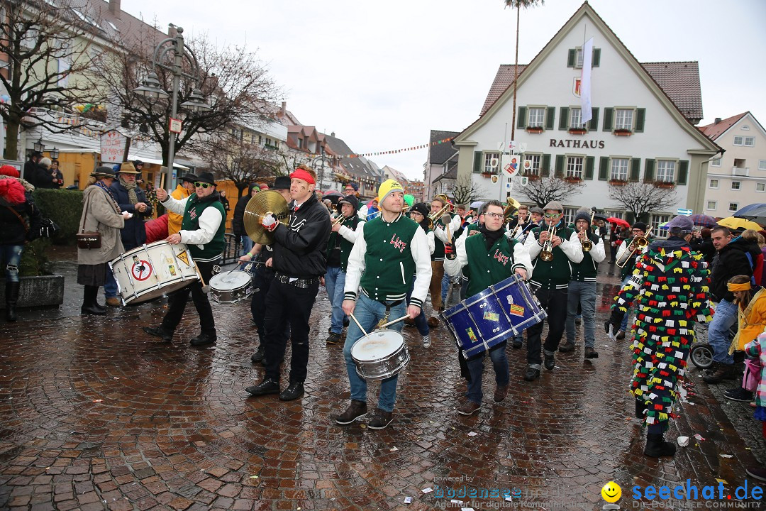 Fasnetsumzug - Fasching: Langenargen am Bodensee, 10.01.2016