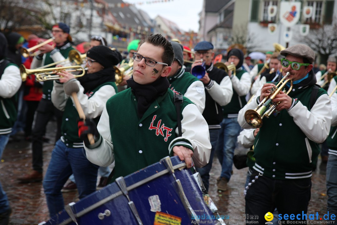 Fasnetsumzug - Fasching: Langenargen am Bodensee, 10.01.2016