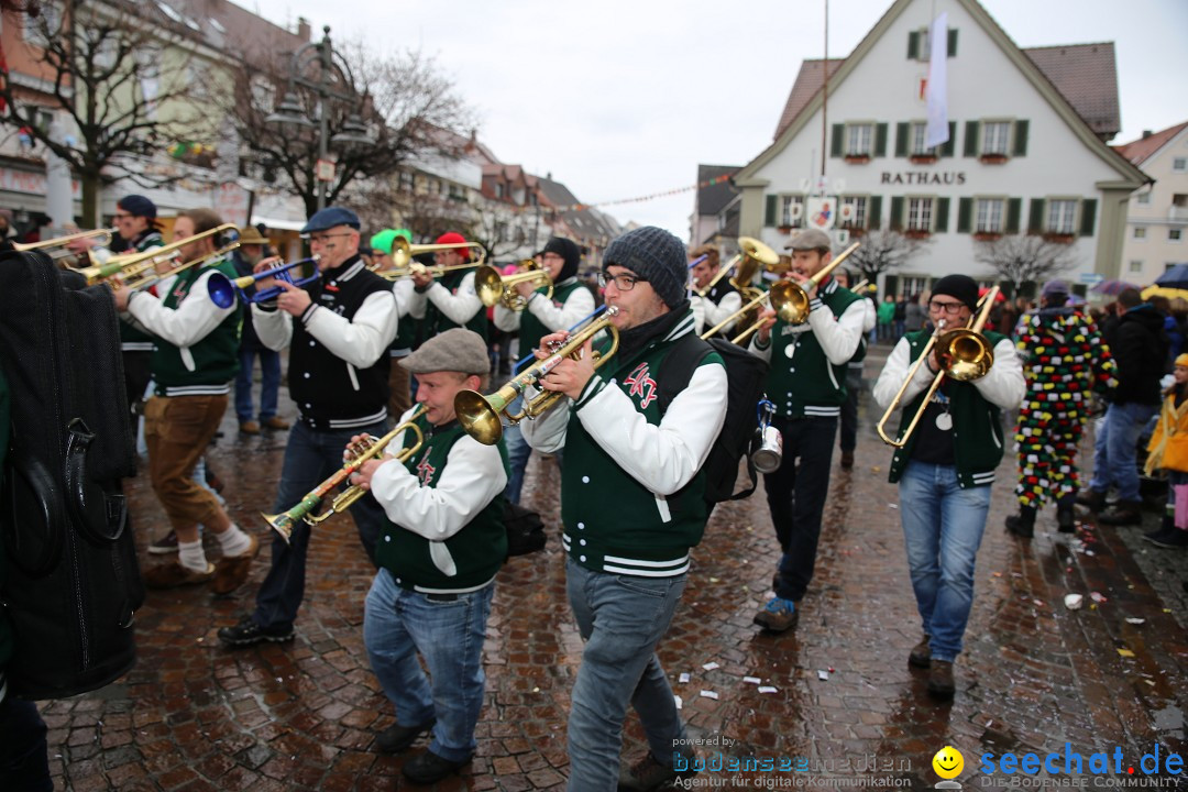 Fasnetsumzug - Fasching: Langenargen am Bodensee, 10.01.2016