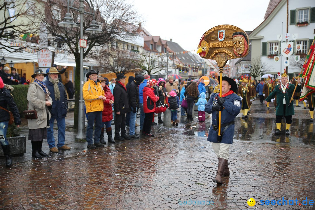 Fasnetsumzug - Fasching: Langenargen am Bodensee, 10.01.2016