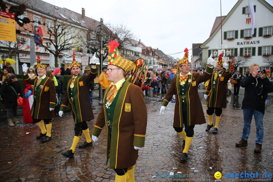 Fasnetsumzug - Fasching: Langenargen am Bodensee, 10.01.2016