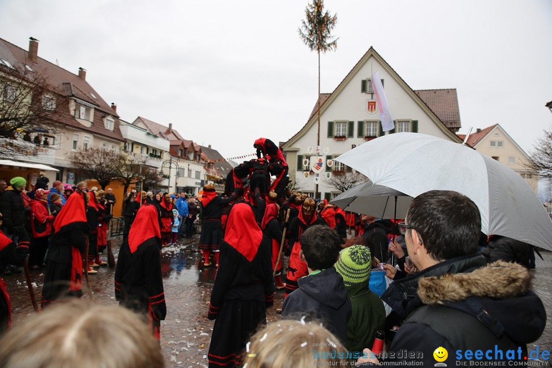 Fasnetsumzug - Fasching: Langenargen am Bodensee, 10.01.2016