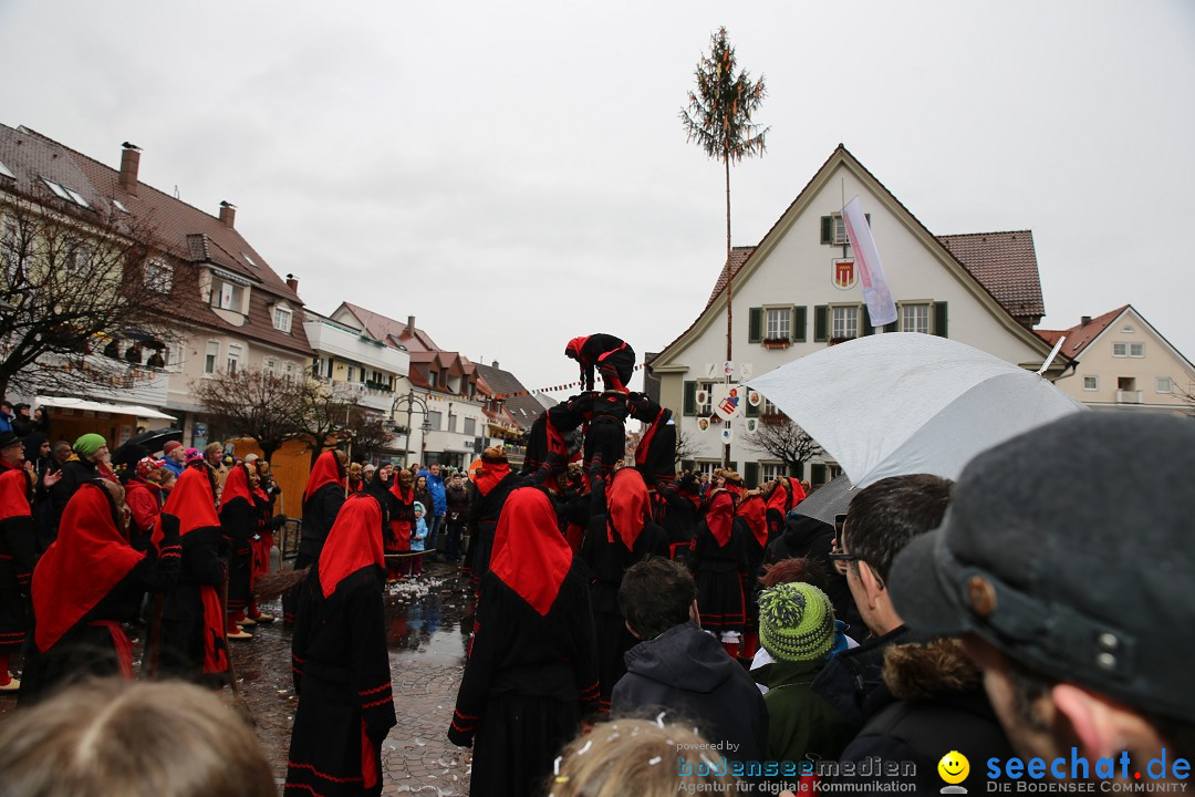 Fasnetsumzug - Fasching: Langenargen am Bodensee, 10.01.2016