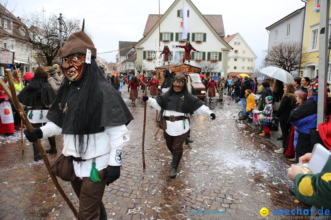 Fasnetsumzug - Fasching: Langenargen am Bodensee, 10.01.2016