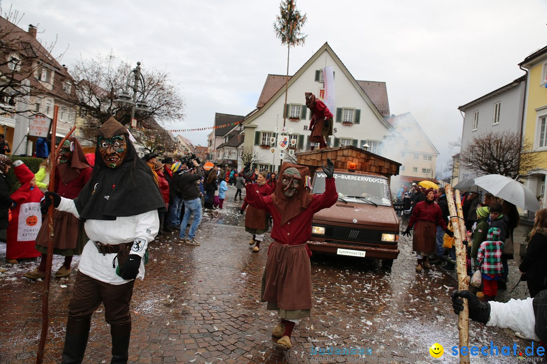 Fasnetsumzug - Fasching: Langenargen am Bodensee, 10.01.2016