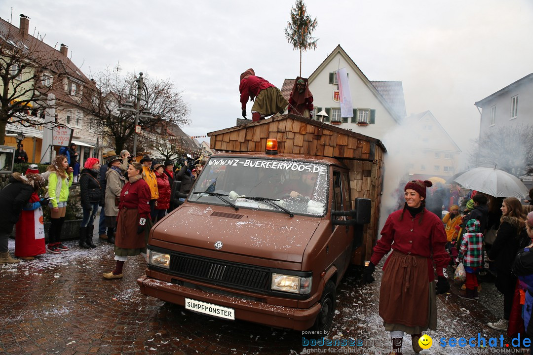 Fasnetsumzug - Fasching: Langenargen am Bodensee, 10.01.2016