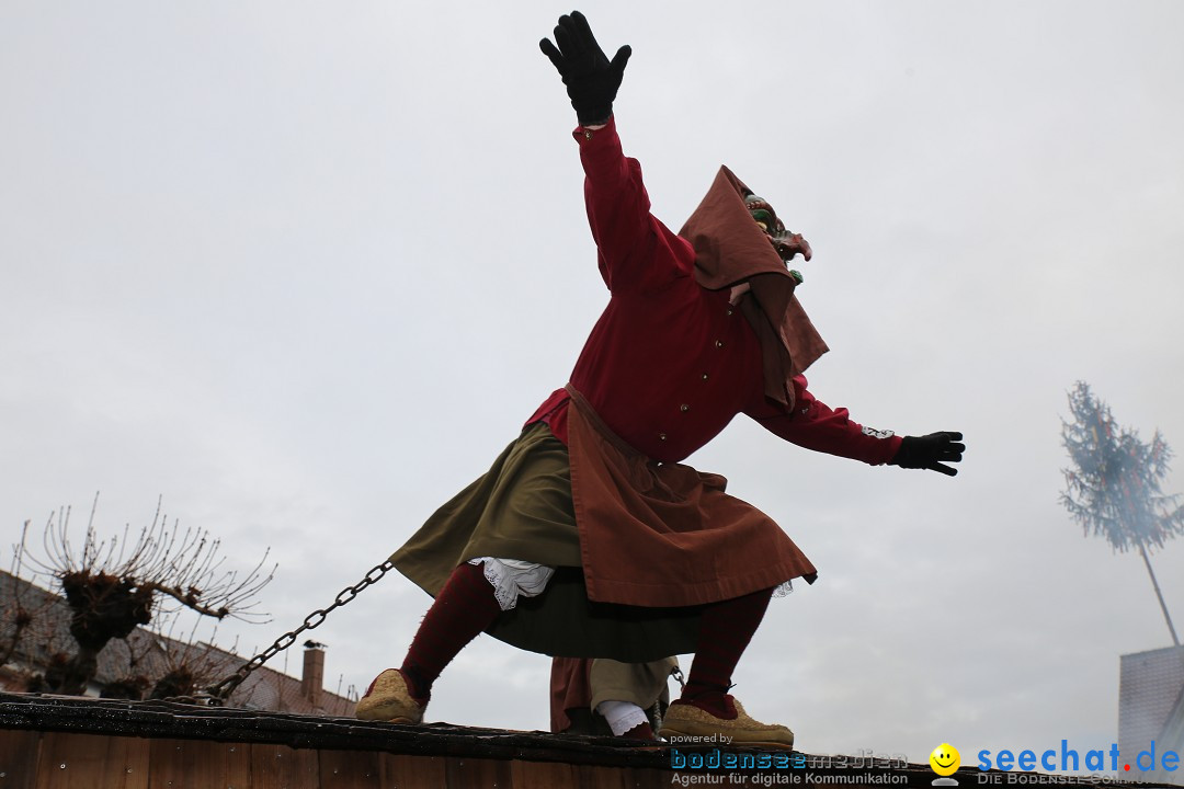 Fasnetsumzug - Fasching: Langenargen am Bodensee, 10.01.2016