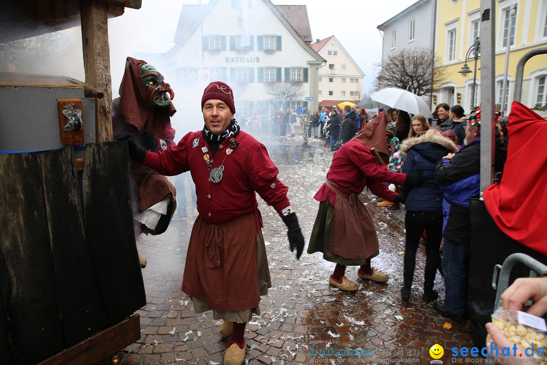 Fasnetsumzug - Fasching: Langenargen am Bodensee, 10.01.2016