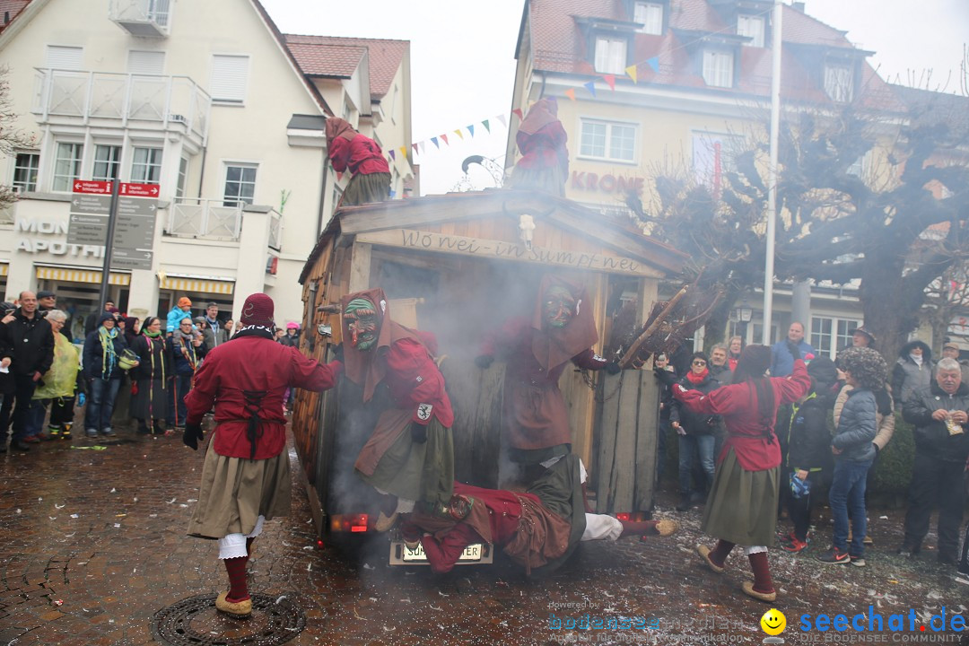 Fasnetsumzug - Fasching: Langenargen am Bodensee, 10.01.2016