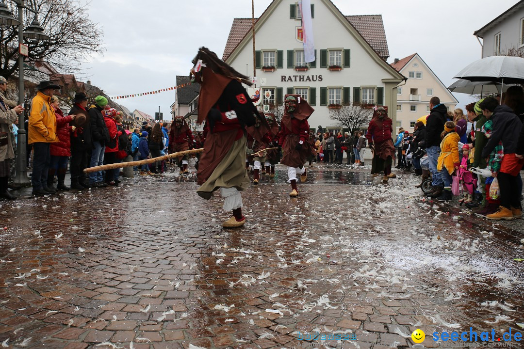 Fasnetsumzug - Fasching: Langenargen am Bodensee, 10.01.2016