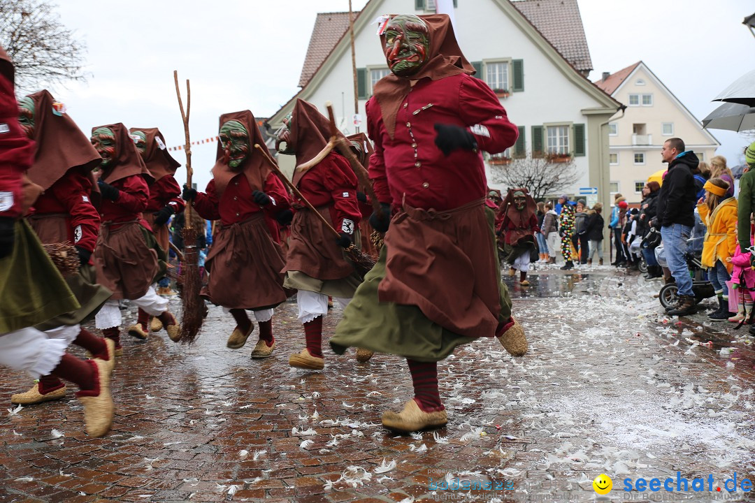 Fasnetsumzug - Fasching: Langenargen am Bodensee, 10.01.2016