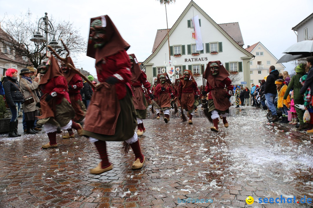 Fasnetsumzug - Fasching: Langenargen am Bodensee, 10.01.2016