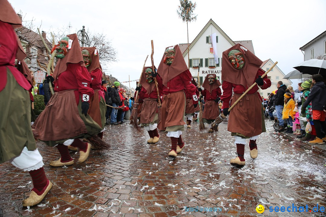 Fasnetsumzug - Fasching: Langenargen am Bodensee, 10.01.2016