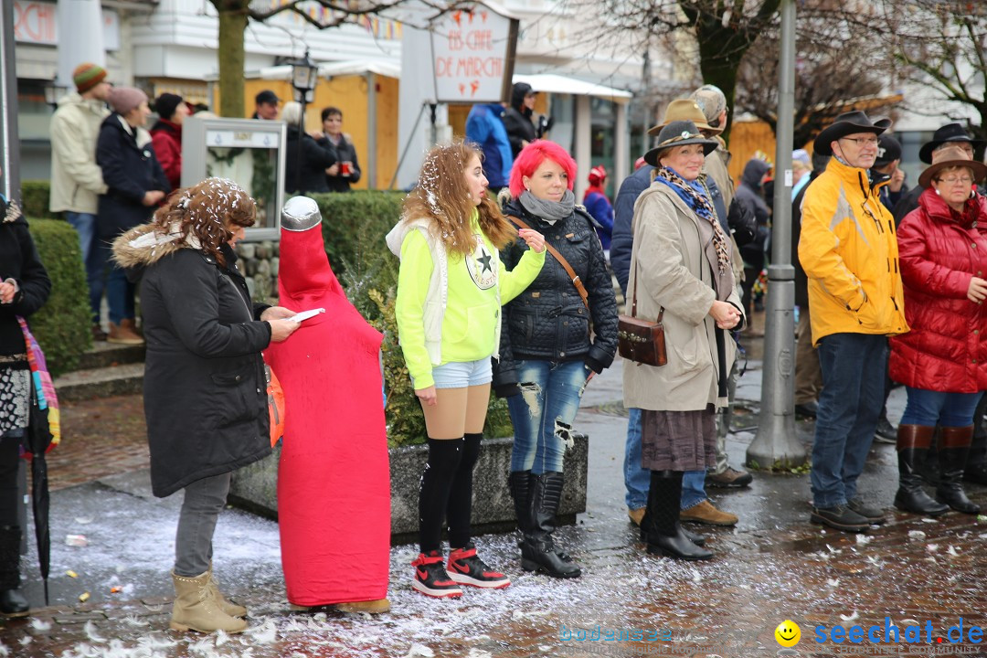 Fasnetsumzug - Fasching: Langenargen am Bodensee, 10.01.2016