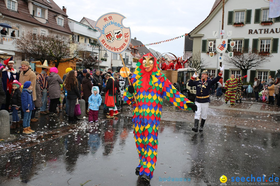 Fasnetsumzug - Fasching: Langenargen am Bodensee, 10.01.2016