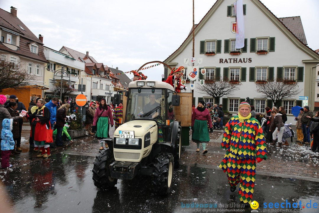 Fasnetsumzug - Fasching: Langenargen am Bodensee, 10.01.2016