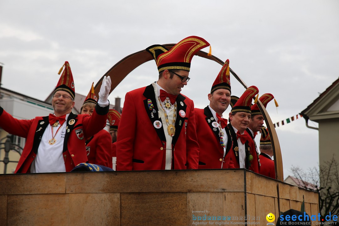 Fasnetsumzug - Fasching: Langenargen am Bodensee, 10.01.2016