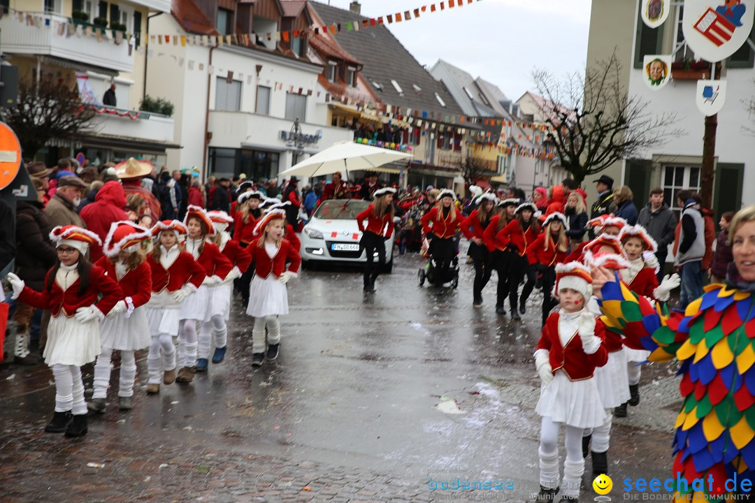 Fasnetsumzug - Fasching: Langenargen am Bodensee, 10.01.2016