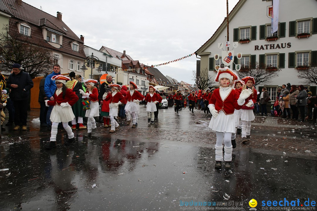 Fasnetsumzug - Fasching: Langenargen am Bodensee, 10.01.2016