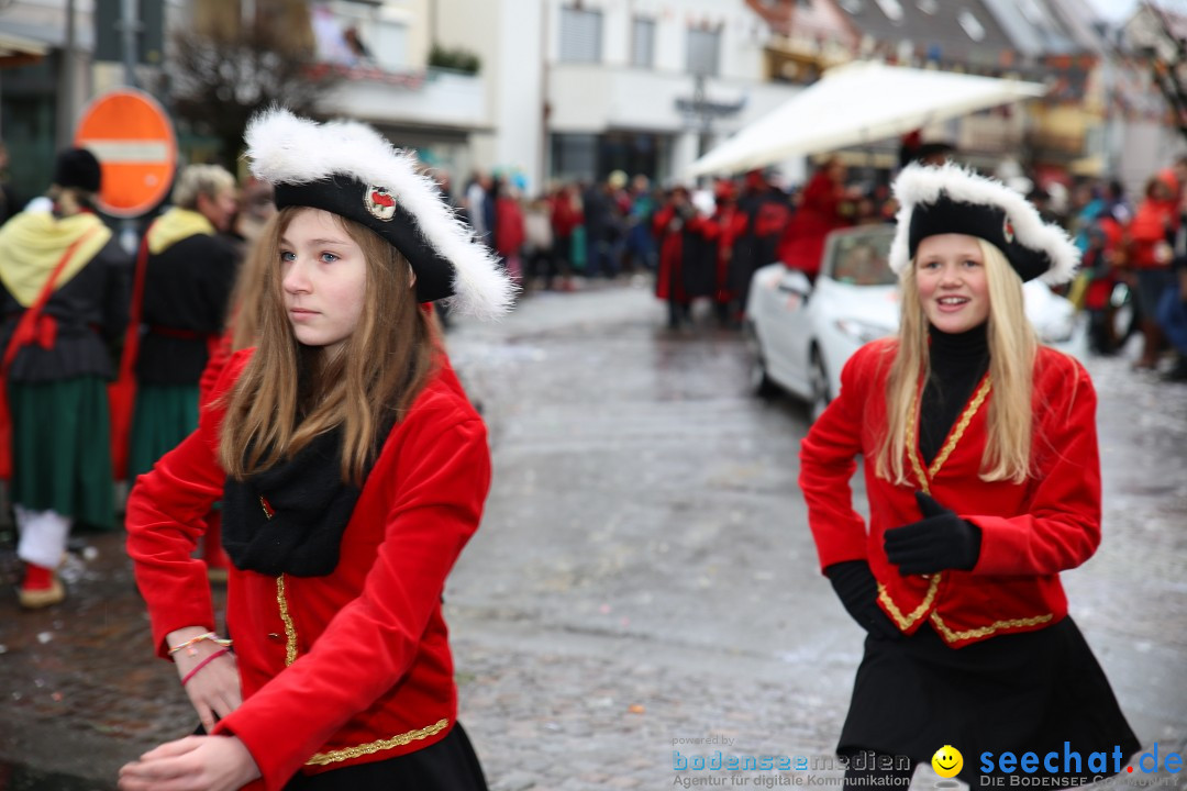 Fasnetsumzug - Fasching: Langenargen am Bodensee, 10.01.2016