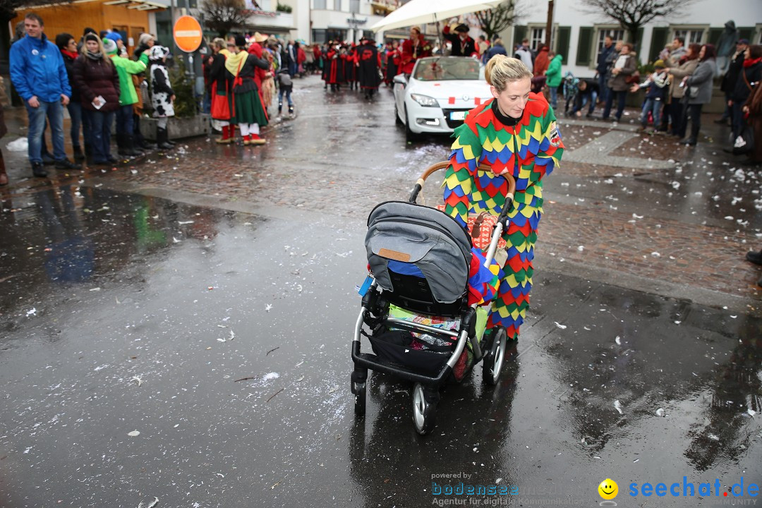 Fasnetsumzug - Fasching: Langenargen am Bodensee, 10.01.2016