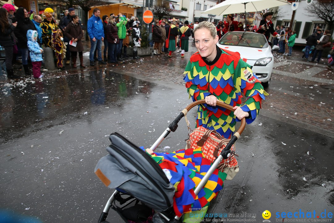 Fasnetsumzug - Fasching: Langenargen am Bodensee, 10.01.2016