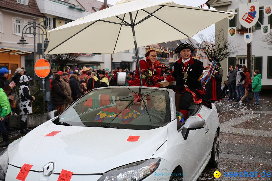 Fasnetsumzug - Fasching: Langenargen am Bodensee, 10.01.2016