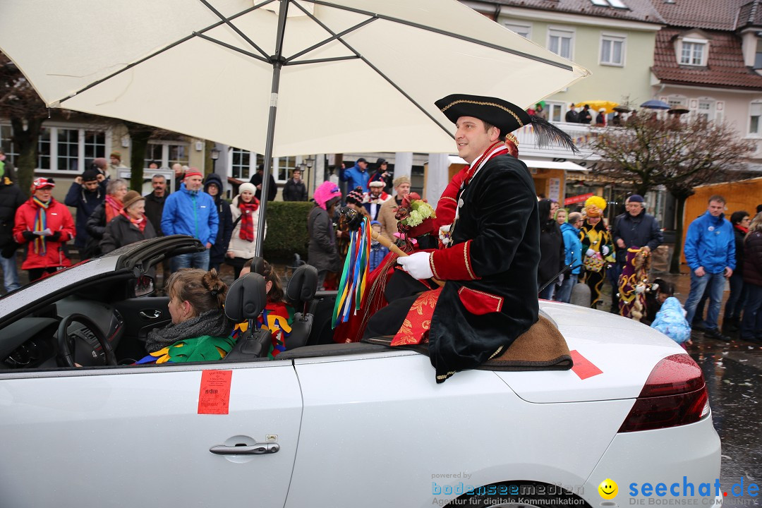 Fasnetsumzug - Fasching: Langenargen am Bodensee, 10.01.2016