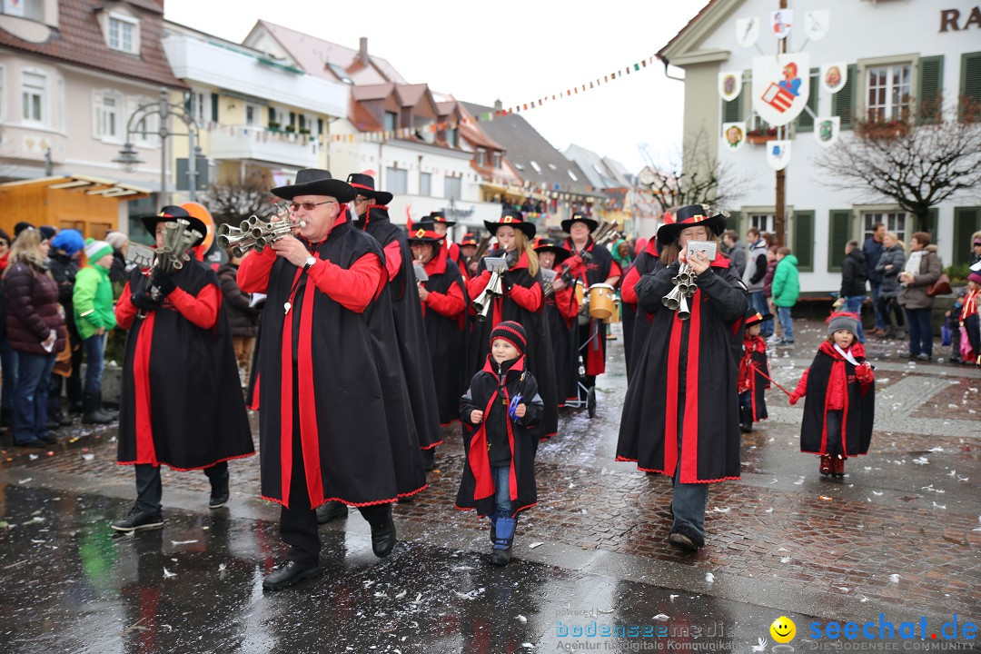 Fasnetsumzug - Fasching: Langenargen am Bodensee, 10.01.2016