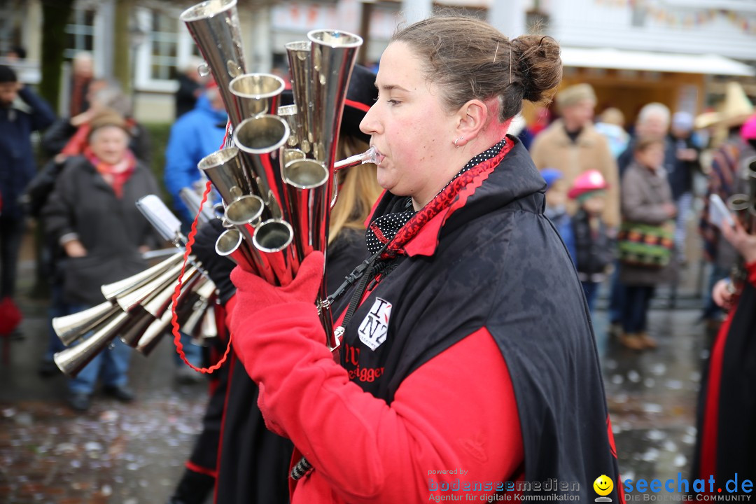 Fasnetsumzug - Fasching: Langenargen am Bodensee, 10.01.2016